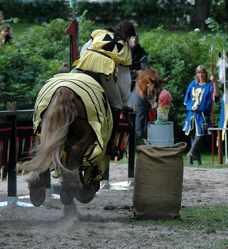 2005_0813 (31).JPG - Här skall man slå ner en "hjälm" från tunnan